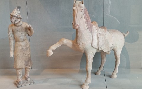 IMG_20260224_cheval dansan.jpg