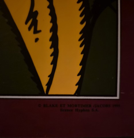 20260810_224925.jpg