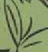 enigme-couleur-2.png