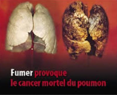 Sans titre1.jpg