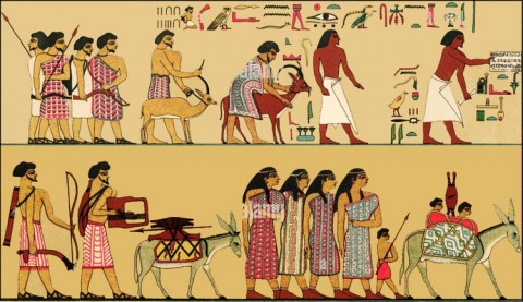 Z67-Papyrus égyptien.jpg