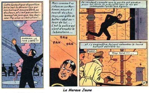Olrik BM 06 marque Jaune.jpg