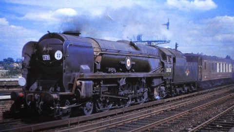 Merchant Navy Bibby Line.jpg