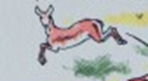 antilope.png